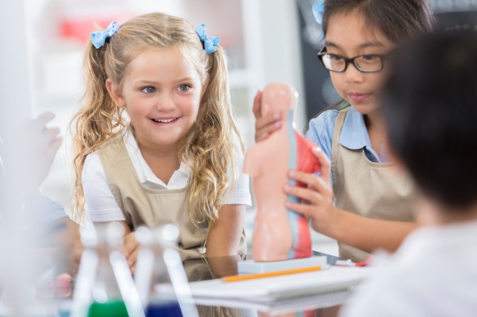 недоліки державних шкіл в Україні недоліки державних шкіл в Україні